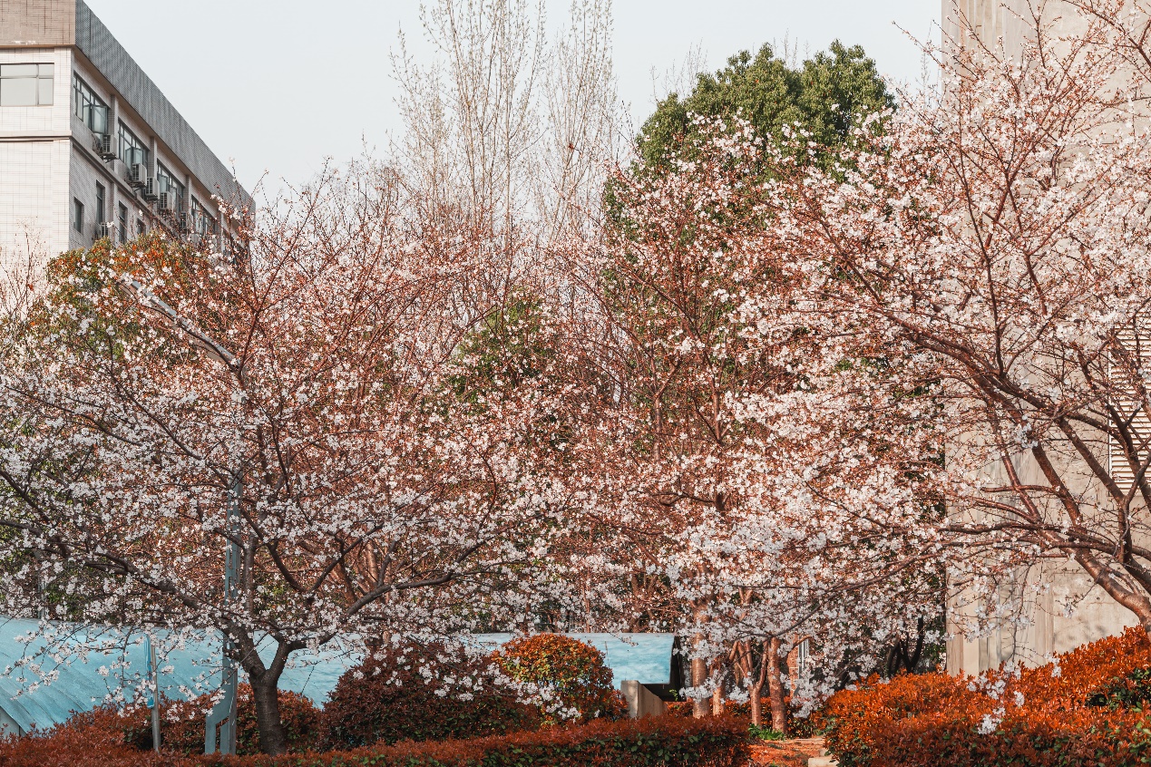 金莎国际网站官网 - welcome